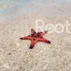 rach vem fishing village tour