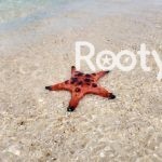 rach vem fishing village tour