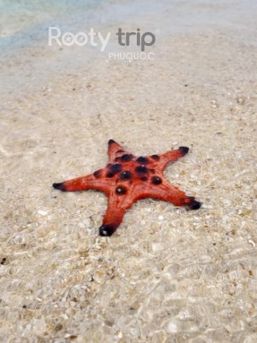 rach vem fishing village tour