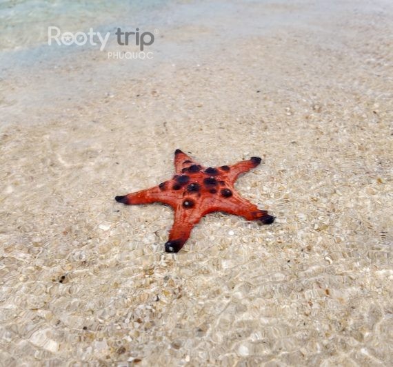 rach vem fishing village tour