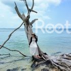 rach vem fishing village tour