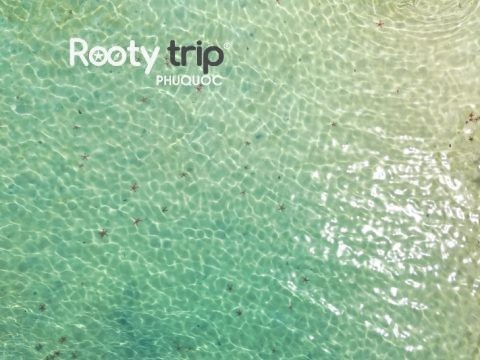 rach vem fishing village tour