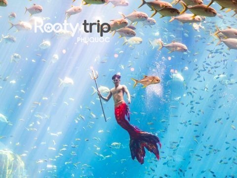 Vinwonders phu quoc & Grand world tour