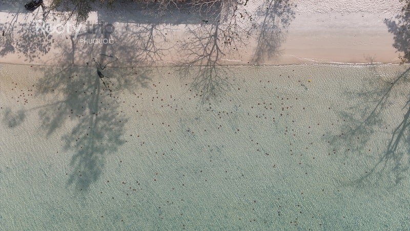 Must-Try experiences at Mui Ham Rong, Phu Quoc