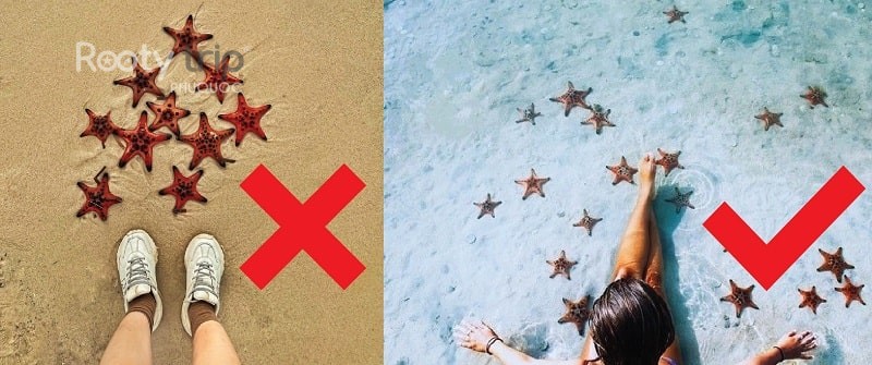 Important tips for visiting Mui Ham Rong