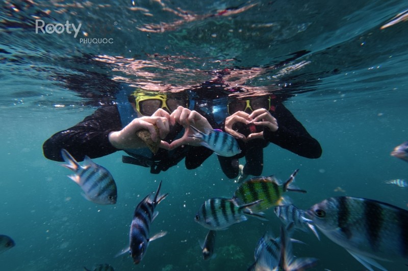 Clear waters make every dive unforgettable