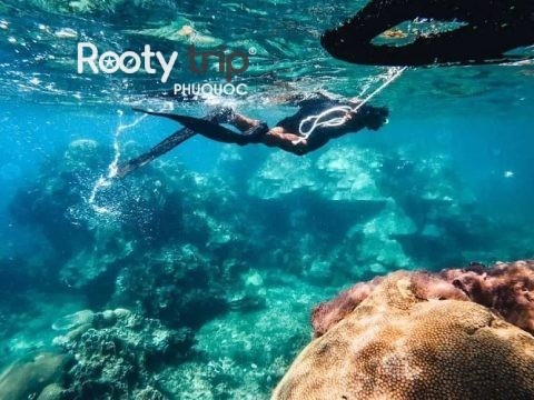 best snorkeling in phu quoc