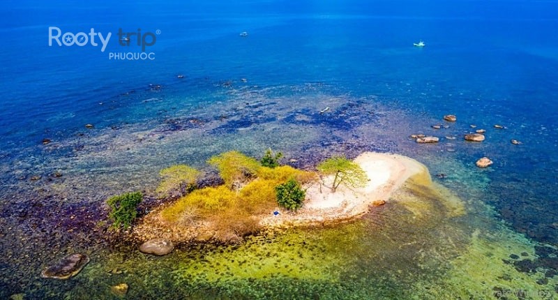 Exploring the best snorkeling gems of North Phu Quoc