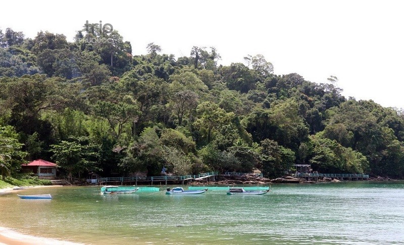 ganh dau cape