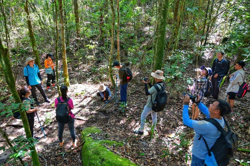 Best time to visit Phu Quoc based on activities