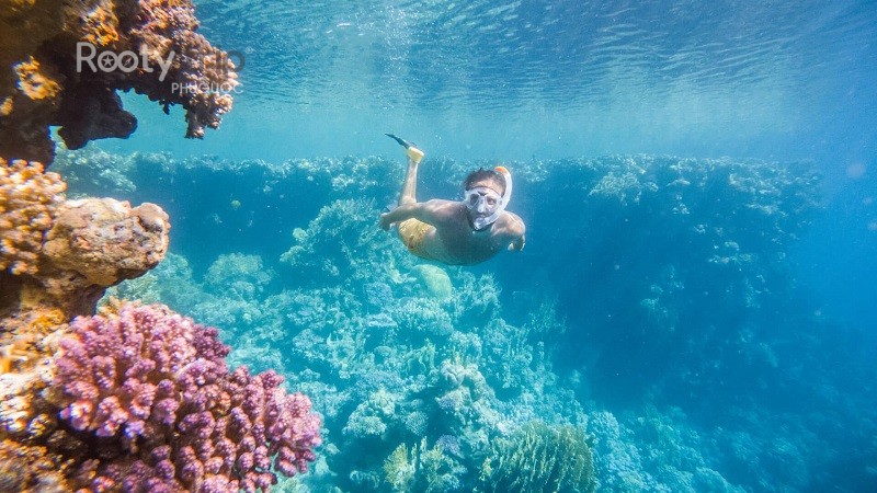 snorkeling tips for beginners