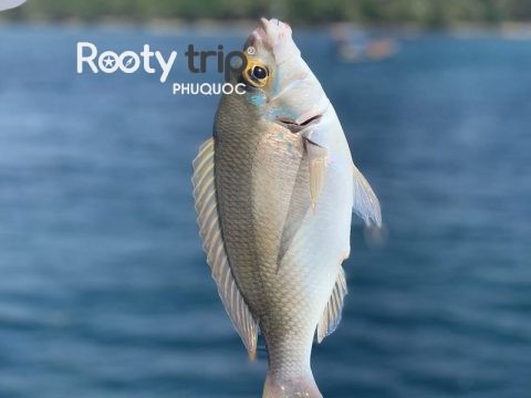 fishing tour phu quoc