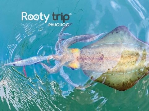 night squid fishing phu quoc