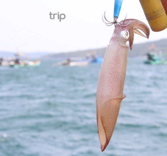 night squid fishing phu quoc