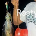 night squid fishing phu quoc
