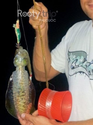 night squid fishing phu quoc