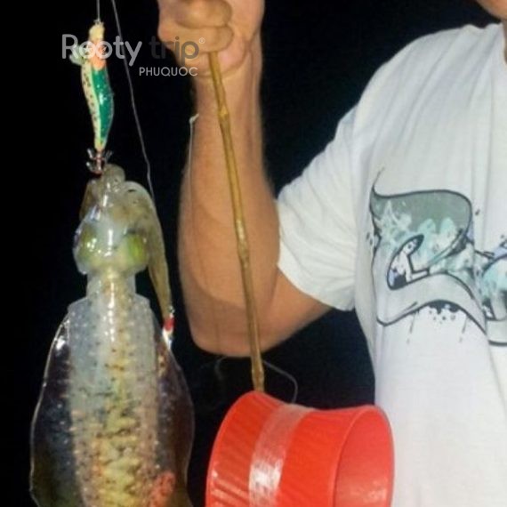 night squid fishing phu quoc