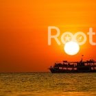 night squid fishing phu quoc
