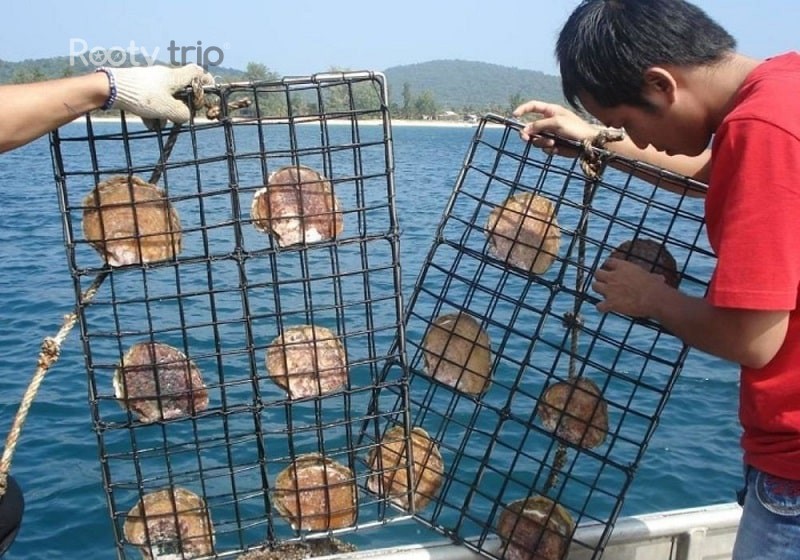 ham ninh fishing village