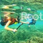 snorkeling in phu quoc