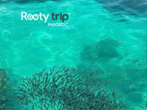 phu quoc snorkeling tour