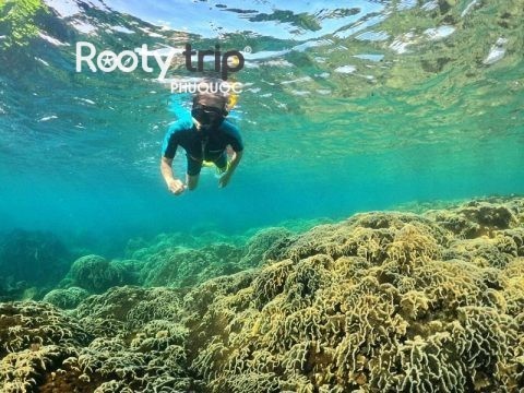 phu quoc snorkeling tour