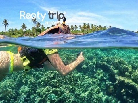 phu quoc snorkeling tour