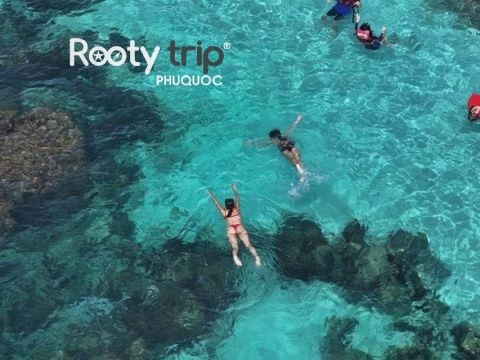 snorkeling safety tips phu quoc