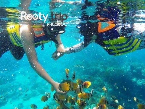 snorkeling tips for non-swimmers