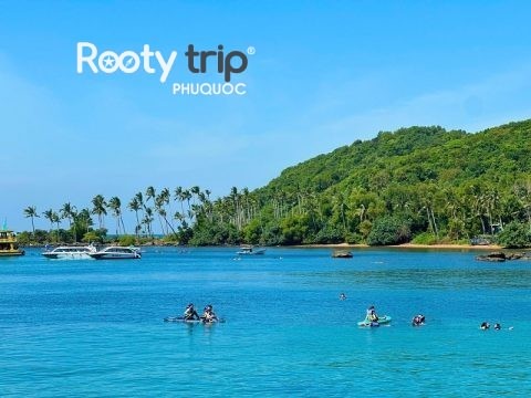 snorkeling tour options & prices
