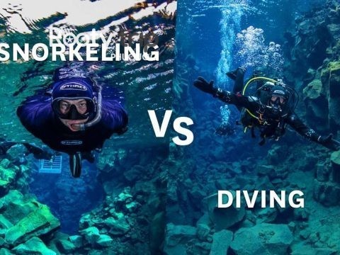 snorkeling vs scuba diving