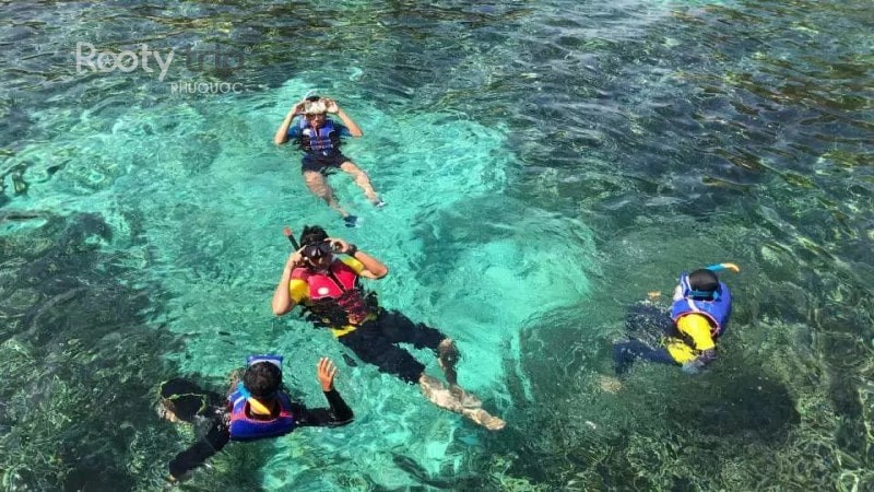 snorkeling safety guide