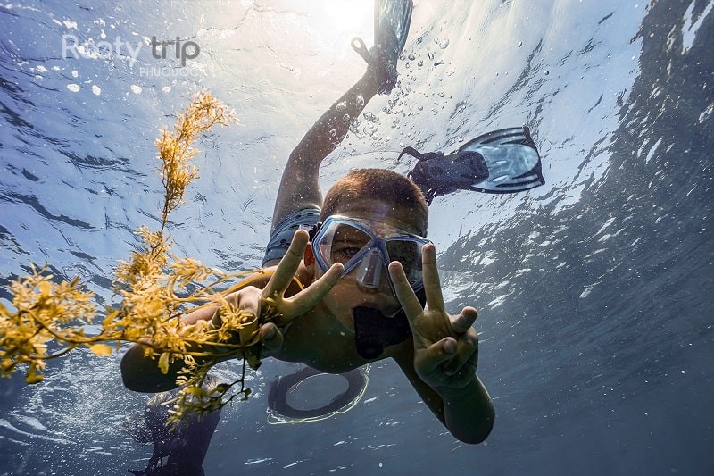 snorkeling tips for non-swimmers