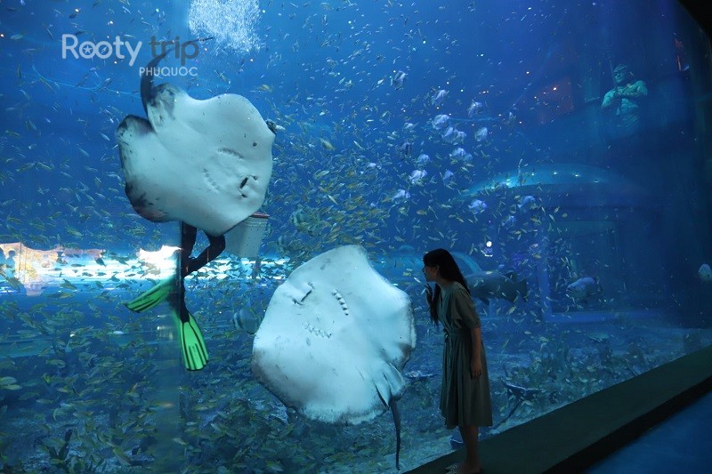 Phu Quoc Aquarium