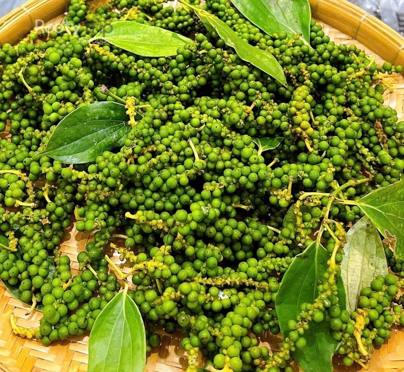 Phu Quoc pepper