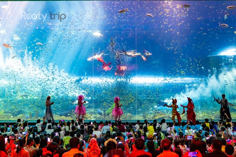 best things to see at Phu Quoc Aquarium