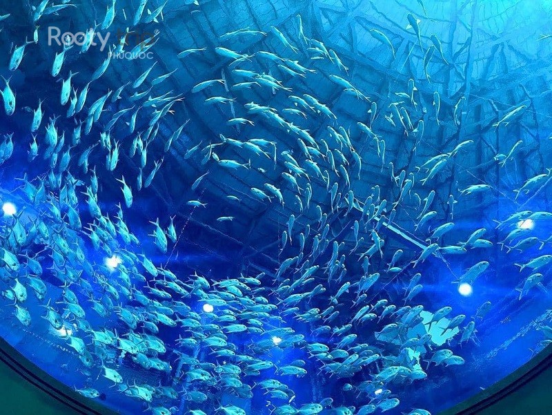 Phu Quoc Aquarium