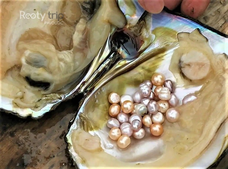 Handicrafts & Pearl Farming
