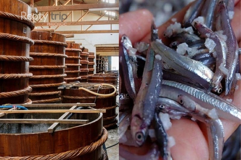 phu quoc fish sauce production