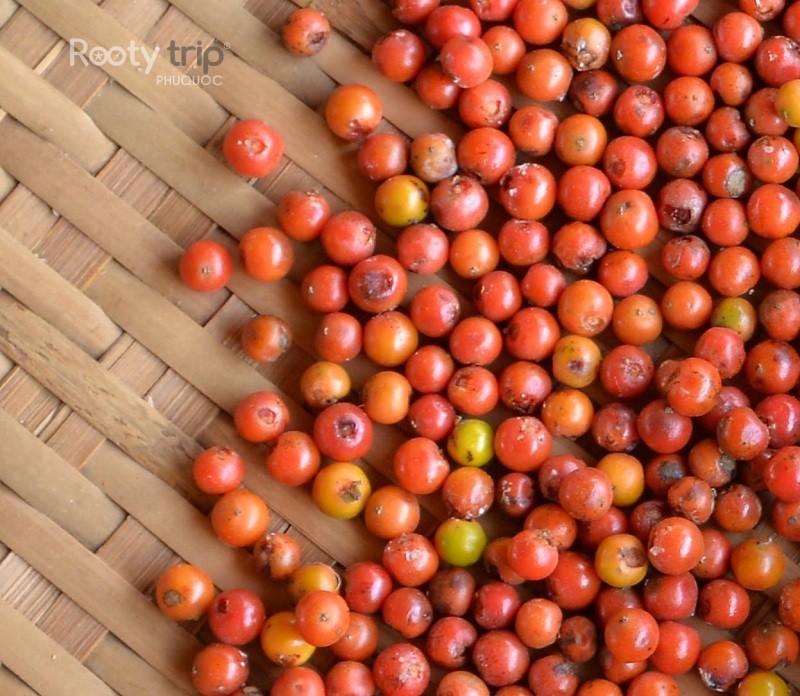 Phu Quoc pepper