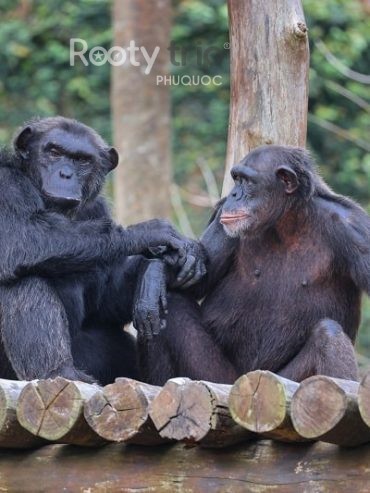 phu quoc attractions list