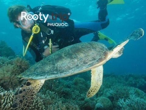 Scuba diving in phu quoc island