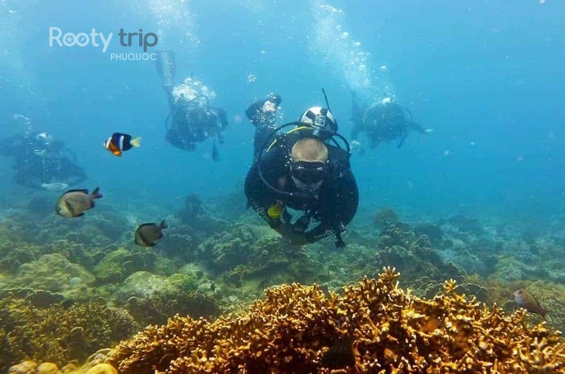 phu quoc scuba