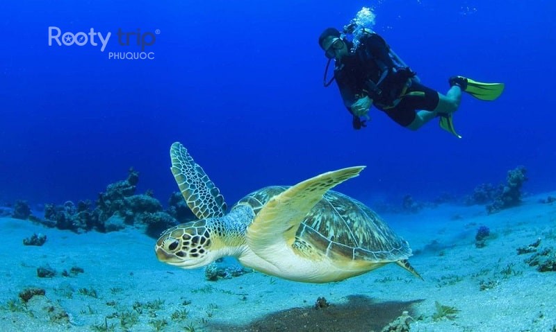 phu quoc island scuba diving