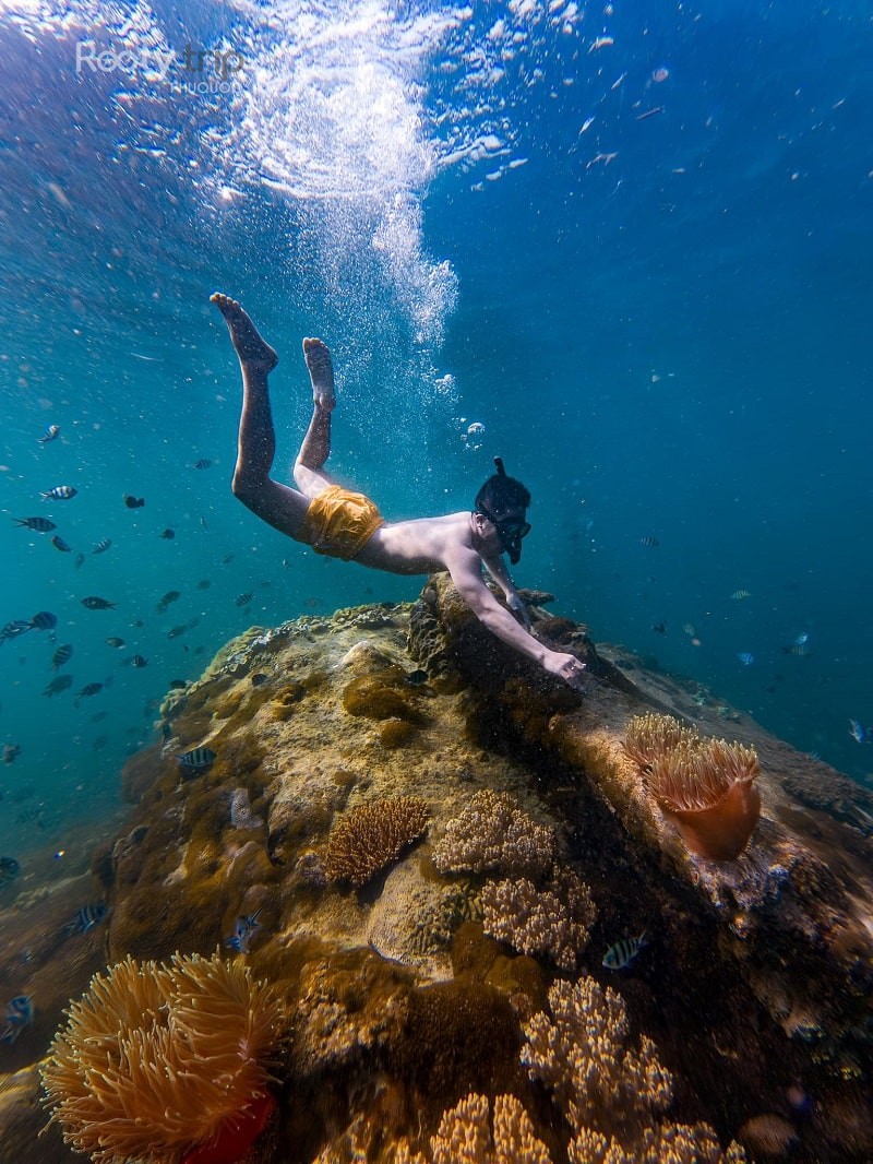 phu quoc what is it famous for