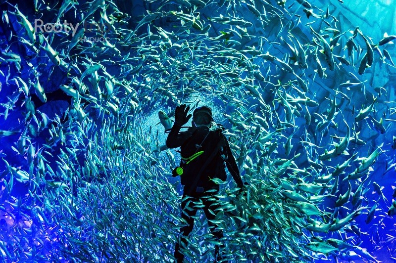 Phu Quoc Aquarium