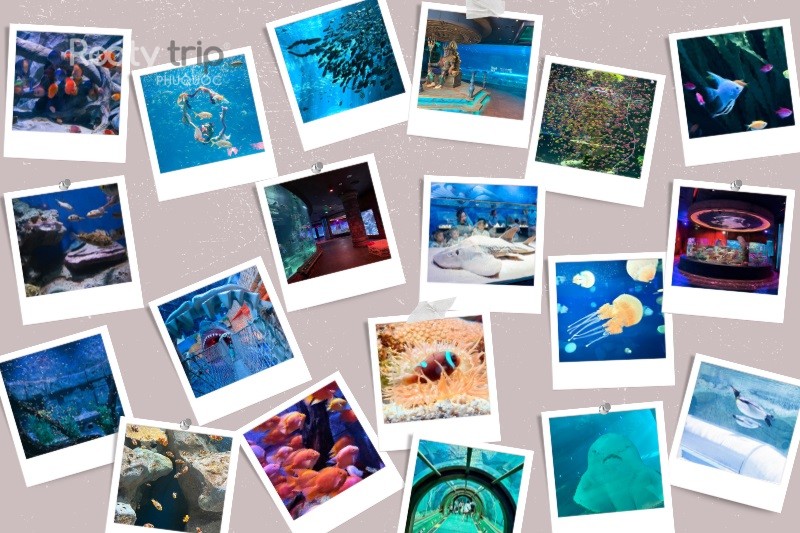 Phu Quoc Aquarium