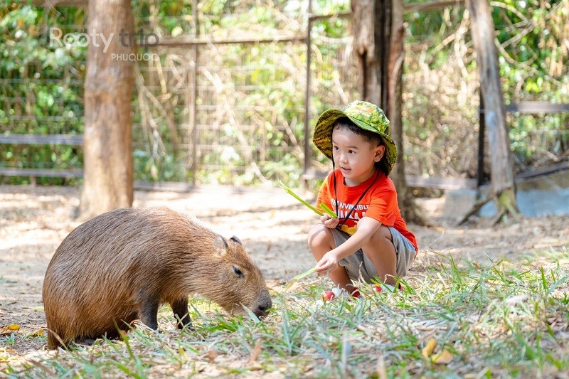 safari Phu Quoc
