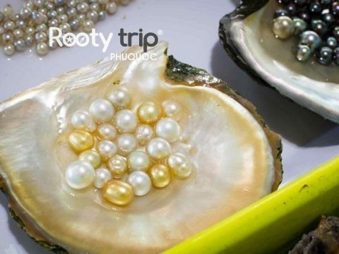 phu quoc pearl farms
