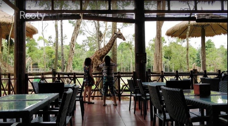 safari Phu Quoc